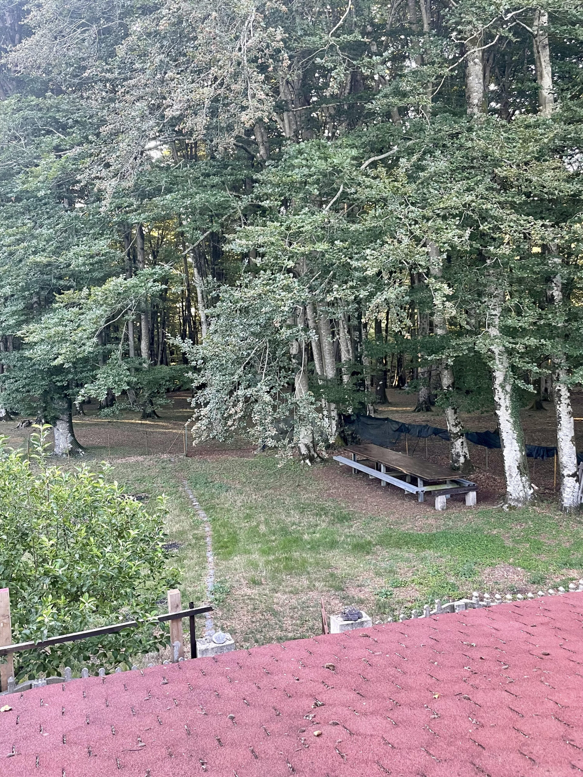 giardino 2